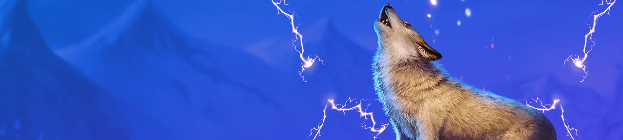 banner-main3